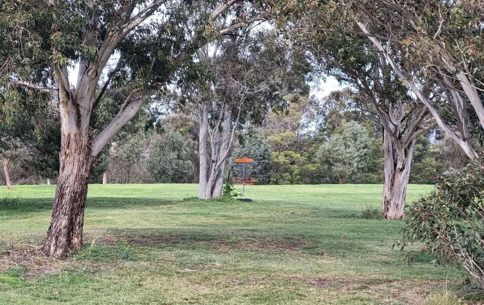 Lorne Street Reserve